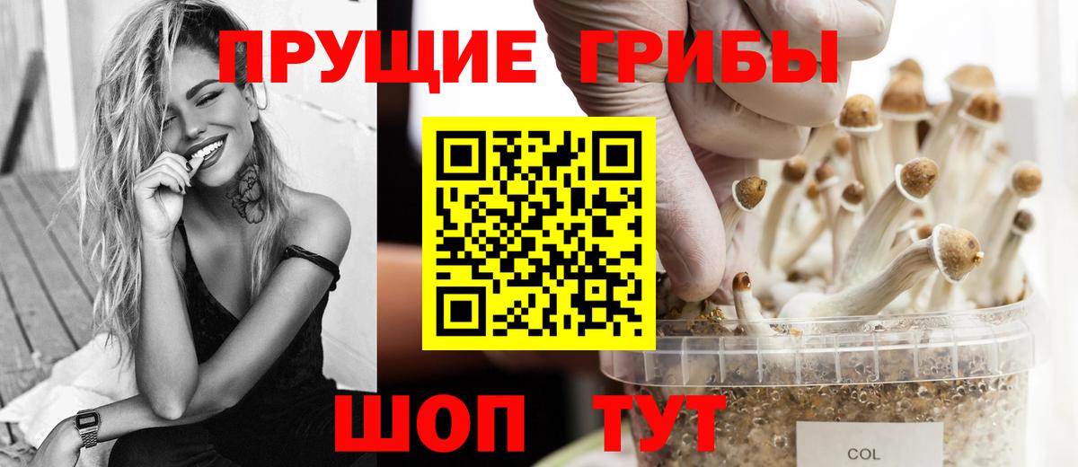 Псилоцибиновые грибы Psilocybine cubensis Нефтекамск